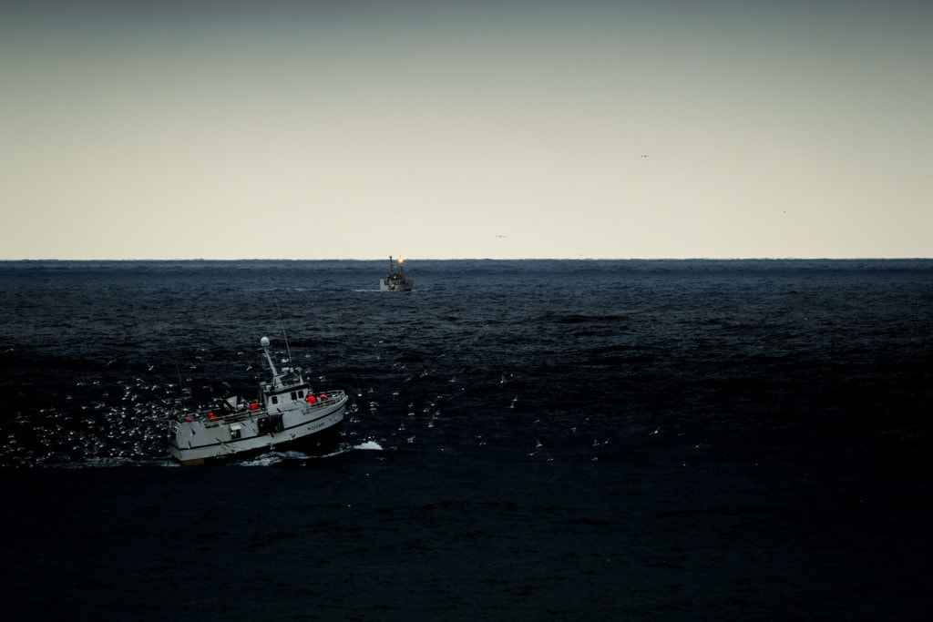 The Lofoten fishery