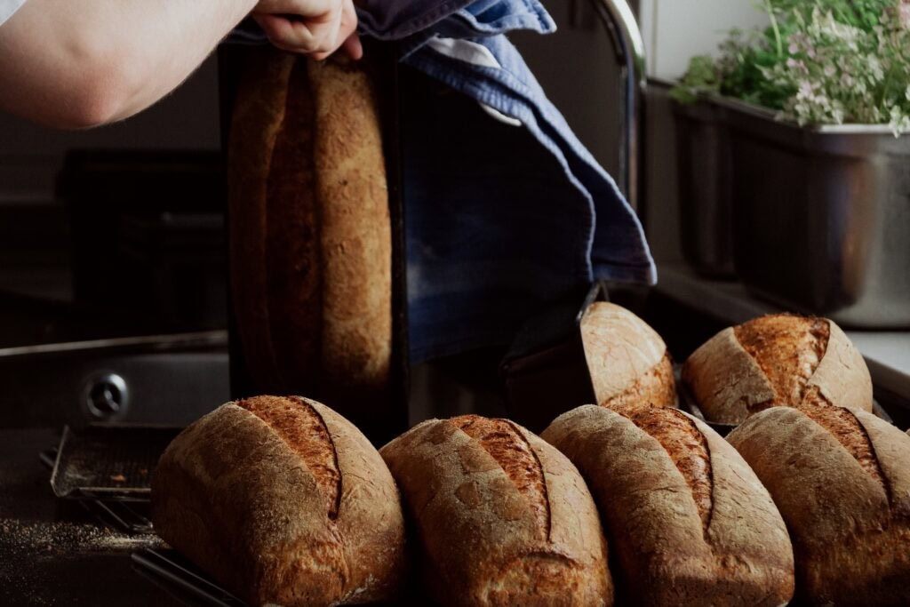 fangst bread